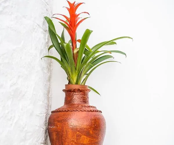 アパート Liogerma *